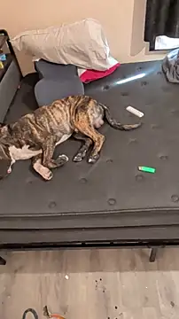 Cnutt310 online show from March 2, 12:02 am