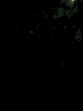 Girls pussy rider online show from February 27, 5:35 pm