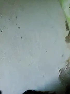 Snapshot of perversa068 chatting on February 4, 11:27 am perversa068 online show from February 4, 11:27 am