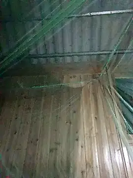 Mptrangp online show from April 15, 7:58 pm