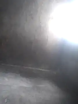 Chaotam1 online show from November 7, 7:30 am