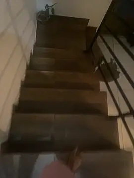 Snapshot of pretalst chatting on November 19, 7:52 am pretalst online show from November 19, 7:52 am