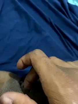 Snapshot of pretalst chatting on November 21, 12:54 am pretalst online show from November 21, 12:54 am