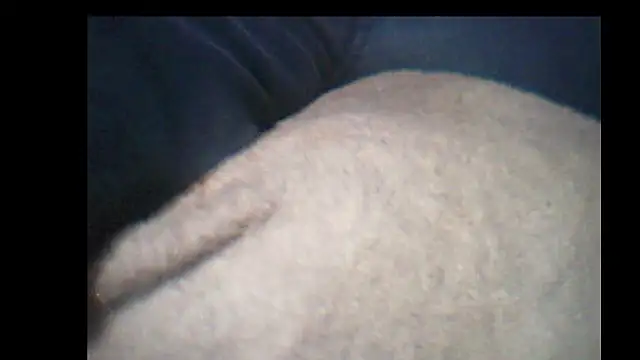 pietje1991 online show from December 14, 10:25 pm