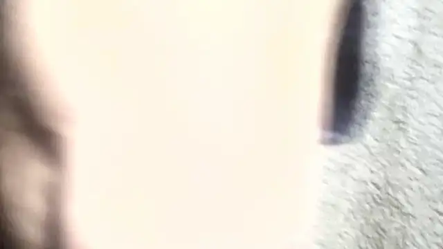 pietje1991 online show from March 6, 1:18 pm