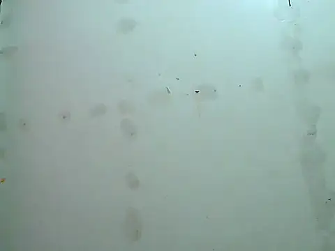 fresh rosie online show from October 3, 7:22 pm