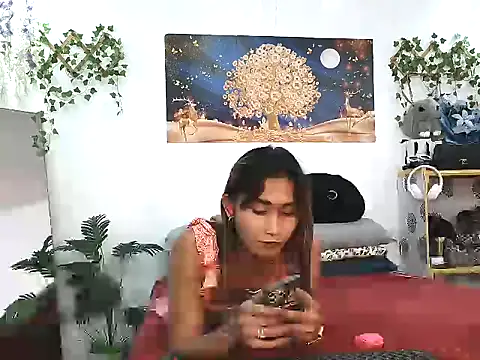 youarea dreamer online show from April 6, 5:14 pm