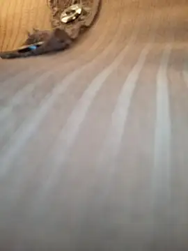 Sandiq99six online show from November 7, 11:05 pm