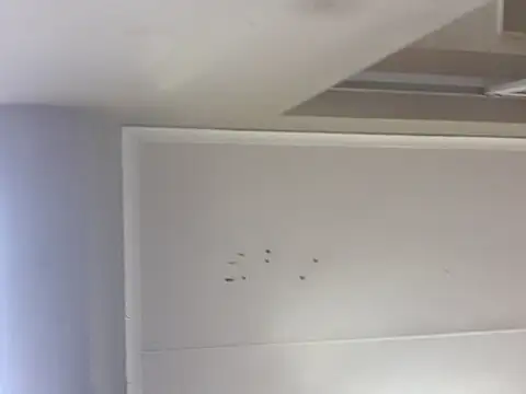 Snapshot of sex-machanic chatting on November 28, 3:31 am sex-machanic online show from November 28, 3:31 am