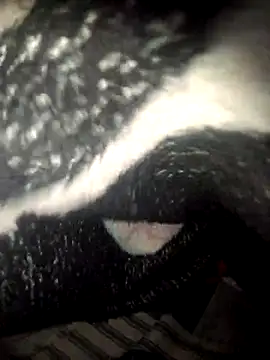 fantasma667 online show from December 1, 12:21 pm