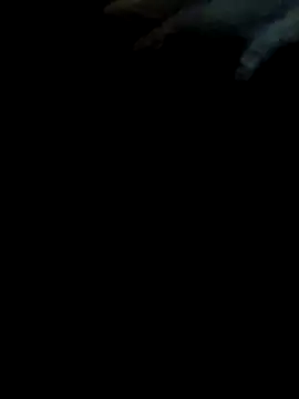 Snapshot of pollitaloca123 chatting on November 7, 9:04 pm pollitaloca123 online show from November 7, 9:04 pm