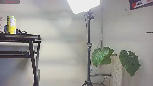 Snapshot of sakuramoss chatting on October 24, 6:43 am sakuramoss online show from October 24, 6:43 am