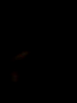 SofieLove 01 online show from December 1, 7:35 am