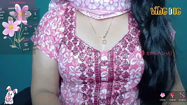 Snapshot of megHana_teLugGu chatting on November 3, 8:04 am megHana teLugGu online show from November 3, 8:04 am