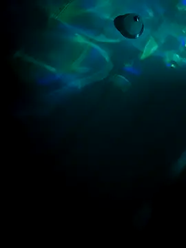 tyrek5051 online show from October 31, 7:20 am