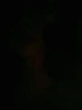 HellaWerlous online show from January 12, 4:34 pm