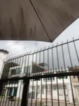 Sallem Pink online show from April 1, 1:41 pm