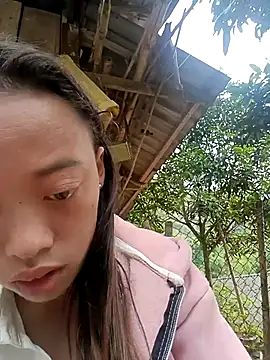 optra34 online show from December 23, 1:47 am