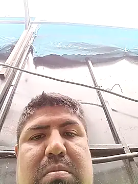 Pamaferto online show from March 31, 12:16 pm