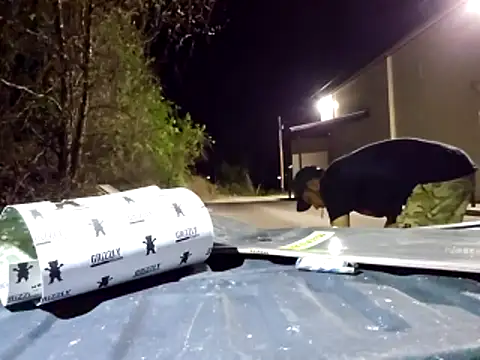 sloppytopkins online show from April 11, 6:07 am