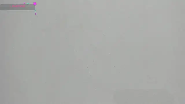 FluffyMelons online show from January 17, 12:04 am