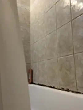 1mistaGoodWood online show from November 30, 1:26 pm