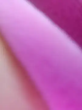 ShineBright88 online show from October 30, 12:06 pm