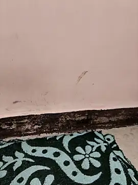 Indian-Aleena online show from April 1, 1:41 pm