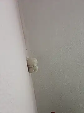 saranghae  online show from March 2, 3:09 am