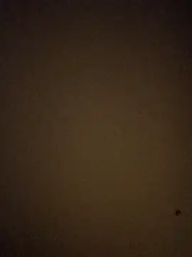 BigD1ckDan86 online show from January 7, 6:38 am