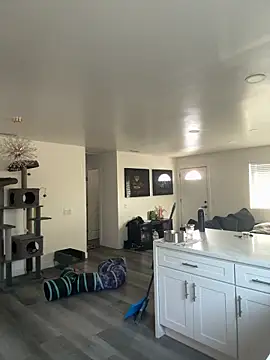 blazeyblake online show from February 6, 4:32 pm