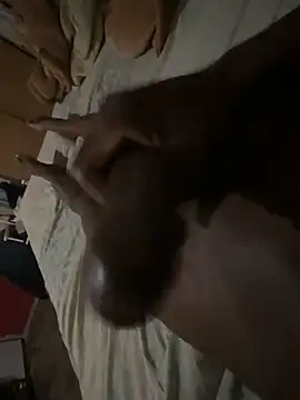 Snapshot of Dickey-B-RSA chatting on November 10, 2:54 am Dickey-B-RSA online show from November 10, 2:54 am