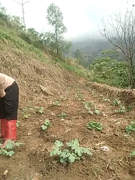 opna43 online show from April 18, 2:37 am