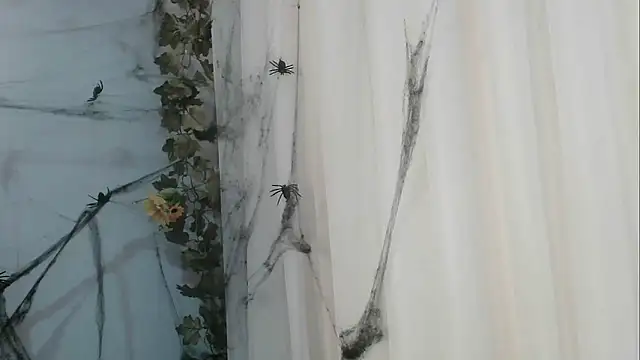 Snapshot of angelainparis28 chatting on October 21, 1:06 am angelainparis28 online show from October 21, 1:06 am