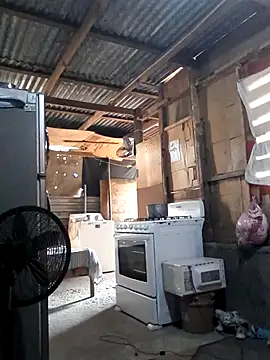 Steehood online show from November 20, 2:50 pm