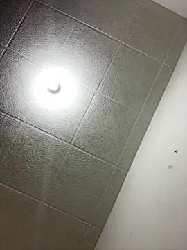 Snapshot of LICEET chatting on December 5, 12:41 am LICEET online show from December 5, 12:41 am