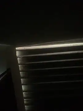 Snapshot of envolvemteX chatting on March 1, 10:17 am envolvemteX online show from March 1, 10:17 am