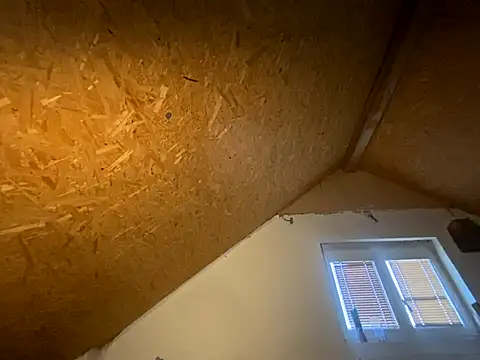 Salon1986 online show from November 7, 3:01 pm