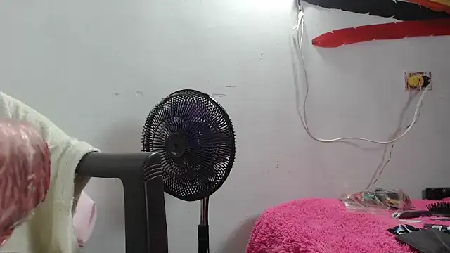 maggi hotsson online show from March 22, 6:28 am