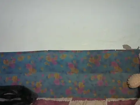 Snapshot of Baby_doll9090 chatting on January 14, 5:07 pm Baby doll9090 online show from January 14, 5:07 pm