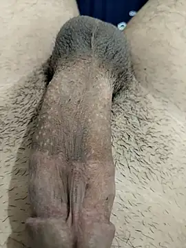 Zepe 12 online show from November 30, 11:31 pm