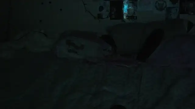 FairyFennec online show from October 8, 1:58 am