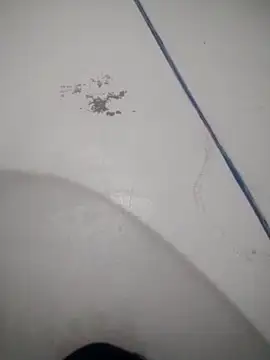 Celestial Field online show from April 9, 4:45 pm