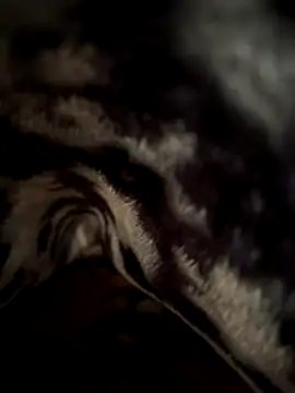 jackyw online show from November 21, 6:12 am