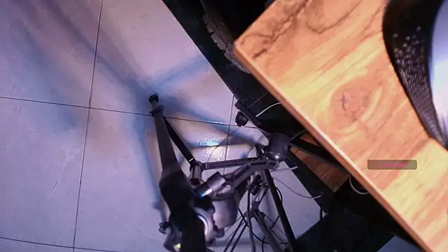 Terraelowen online show from November 10, 11:31 am