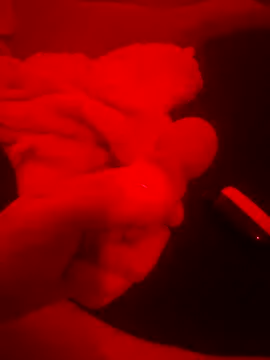 Snapshot of 2Tight2Handle chatting on October 20, 2:17 pm 2Tight2Handle online show from October 20, 2:17 pm