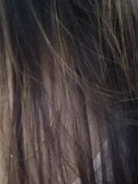 DPK25 online show from December 21, 11:06 am