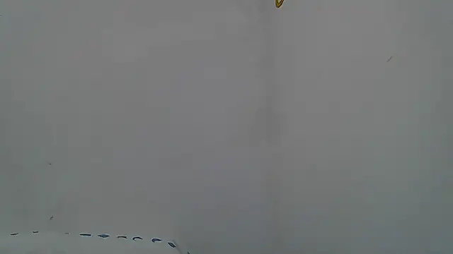 Kevintdx online show from April 11, 2:05 am