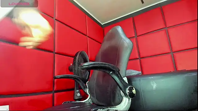 damian bull online show from February 13, 1:07 pm