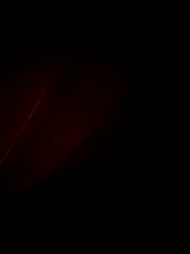 Fran-solo online show from May 28, 9:17 am